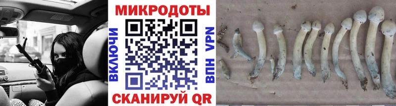 shop как зайти  omg ONION  Котовск  Галлюциногенные грибы прущие грибы 
